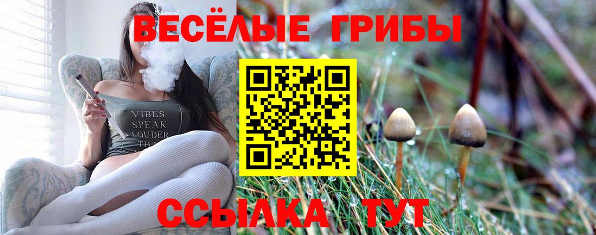 Псилоцибиновые грибы MAGIC MUSHROOMS Саров
